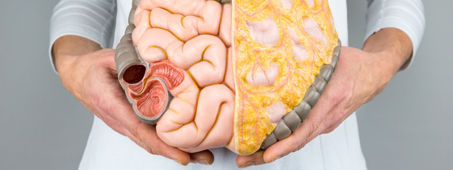 Healing Your Gut: How Long It Really Takes