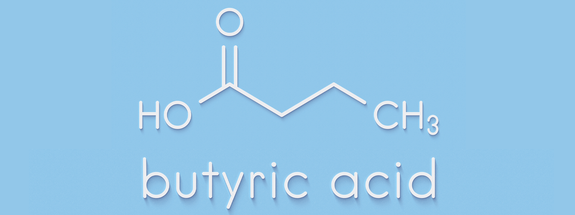 Meet Butyrate, your Gut's Best Friend